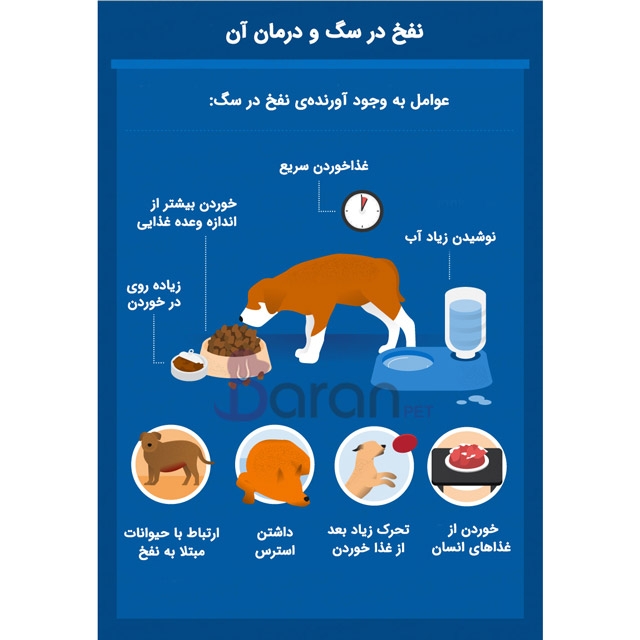 عوامل به وجود آورندهی نفخ در سگ: عوامل به وجود آورندهی نفخ در سگ