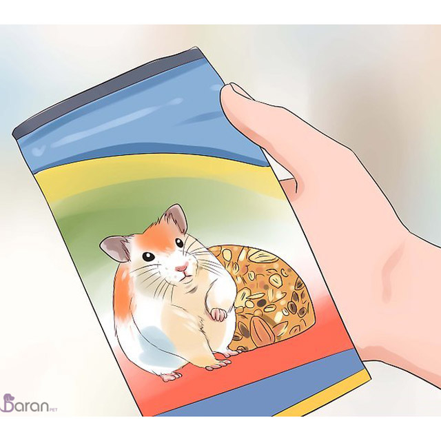 تغذیه مناسب همستر تغذیه مناسب همستر