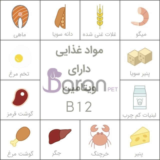کمبود ویتامین ب کمبود ویتامین ب
