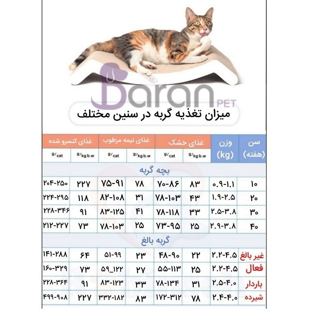 چاقى در گربه ها چاقى در گربه ها