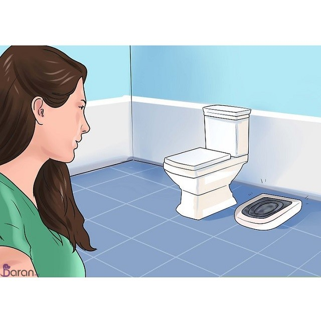 آموزش استفاده از توالت فرنگی به گربه آموزش توالت فرنگی به گربه