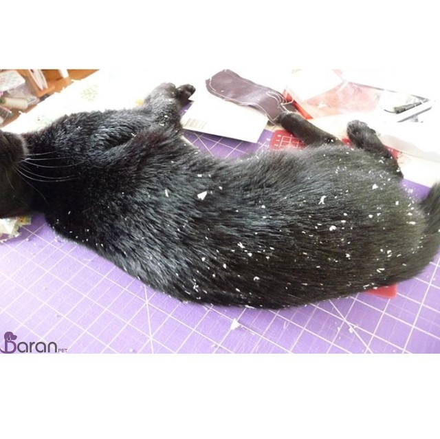 کمبود ویتامین ب کمبود ویتامین ب