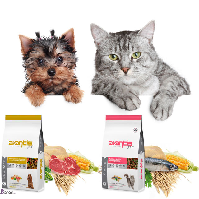 معرفی برند آوانتیس (Avantis) برند آوانتیس (Avantis)