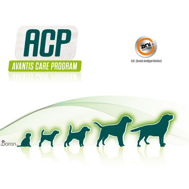 معرفی برند آوانتیس (Avantis) برند آوانتیس (Avantis)