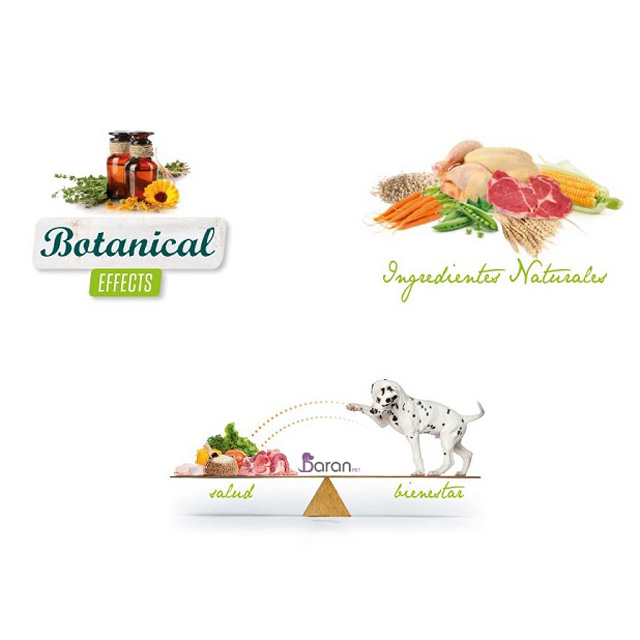 معرفی برند آوانتیس (Avantis) برند آوانتیس (Avantis)