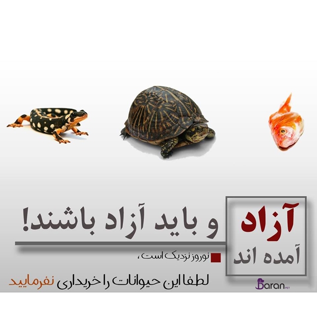 تخریب و نابودی حیات وحش