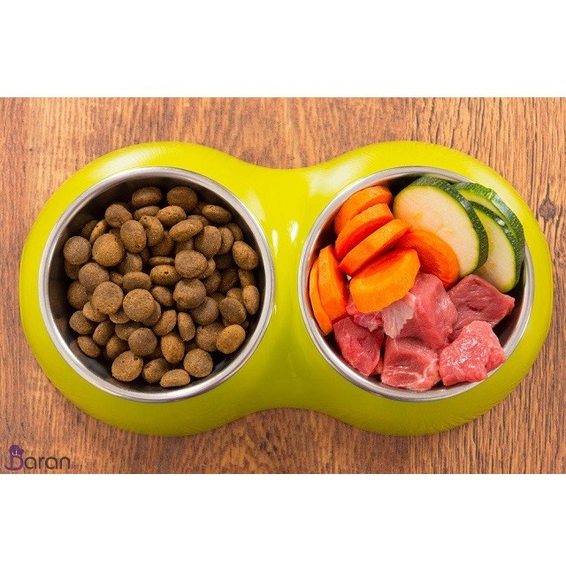 غذای خشک یا غذای خانگی کدام برای حیوانات بهتر است غذای خشک یا غذای خانگی کدام برای حیوانات بهتر است؟