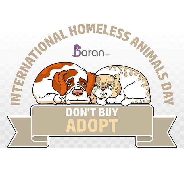 روز بین المللی حیوانات بی سرپرست روز جهانی حیوانات بی سرپرست