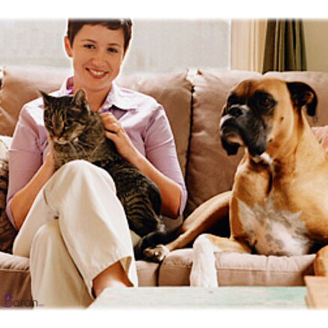 حیوان خانگی و حیوان غیر خانگی حیوان خانگی ، حیوان غیر خانگی