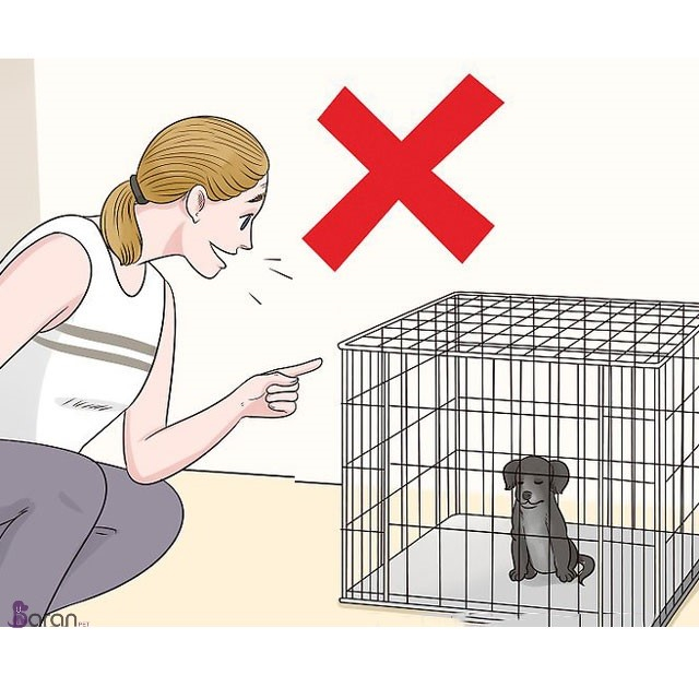 آموزش ماندن سگ در داخل پارک سگ سگ در داخل پارک سگ