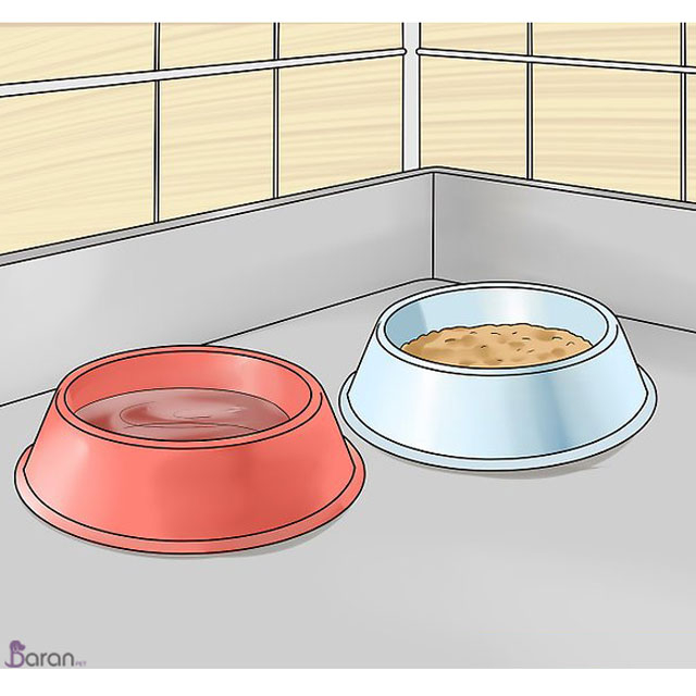 آموزش ماندن سگ در داخل پارک سگ سگ در داخل پارک سگ