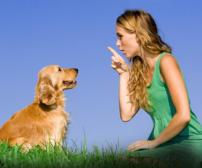 چگونه به سگ حرف زدن را بیاموزیم؟