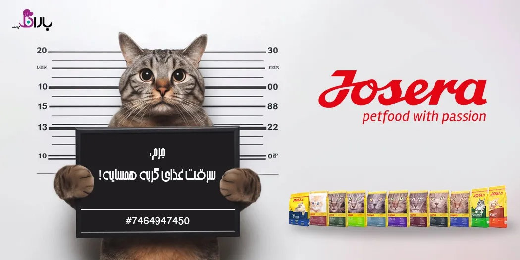 غذای سگ و گربه جوسرا غذای سگ و گربه جوسرا