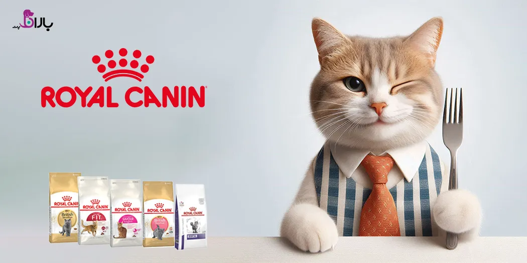 غذای سگ و گربه رویال کنین غذای سگ و گربه رویال کنین