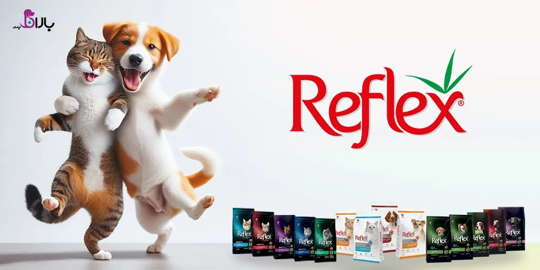غذای سگ و گربه رفلکس غذای سگ و گربه رفلکس