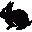 جوندگان